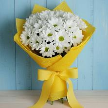 Букет цветов из:  Хризантемы в Нефтегорске Самарской области