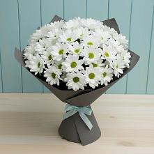 Букет цветов из:  Хризантемы #REPLACE_PRED# Нефтегорске Самарской области