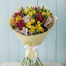 Букет цветов из:  Альстромерии в Нефтегорске Самарской области