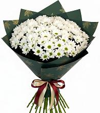 Букет цветов из:  Хризантемы #REPLACE_PRED# Нефтегорске Самарской области