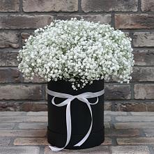 Цветочная композиция из Гипсофила в шляпной коробке в Нефтегорске Самарской области