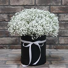 Цветочная композиция из Гипсофила в шляпной коробке в Нефтегорске Самарской области