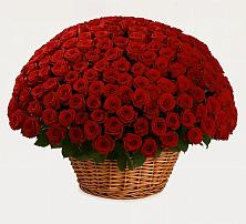 Премиум букет из: Розы в Нефтегорске Самарской области