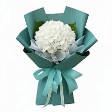 Букет цветов из:  Гортензия в Нефтегорске Самарской области